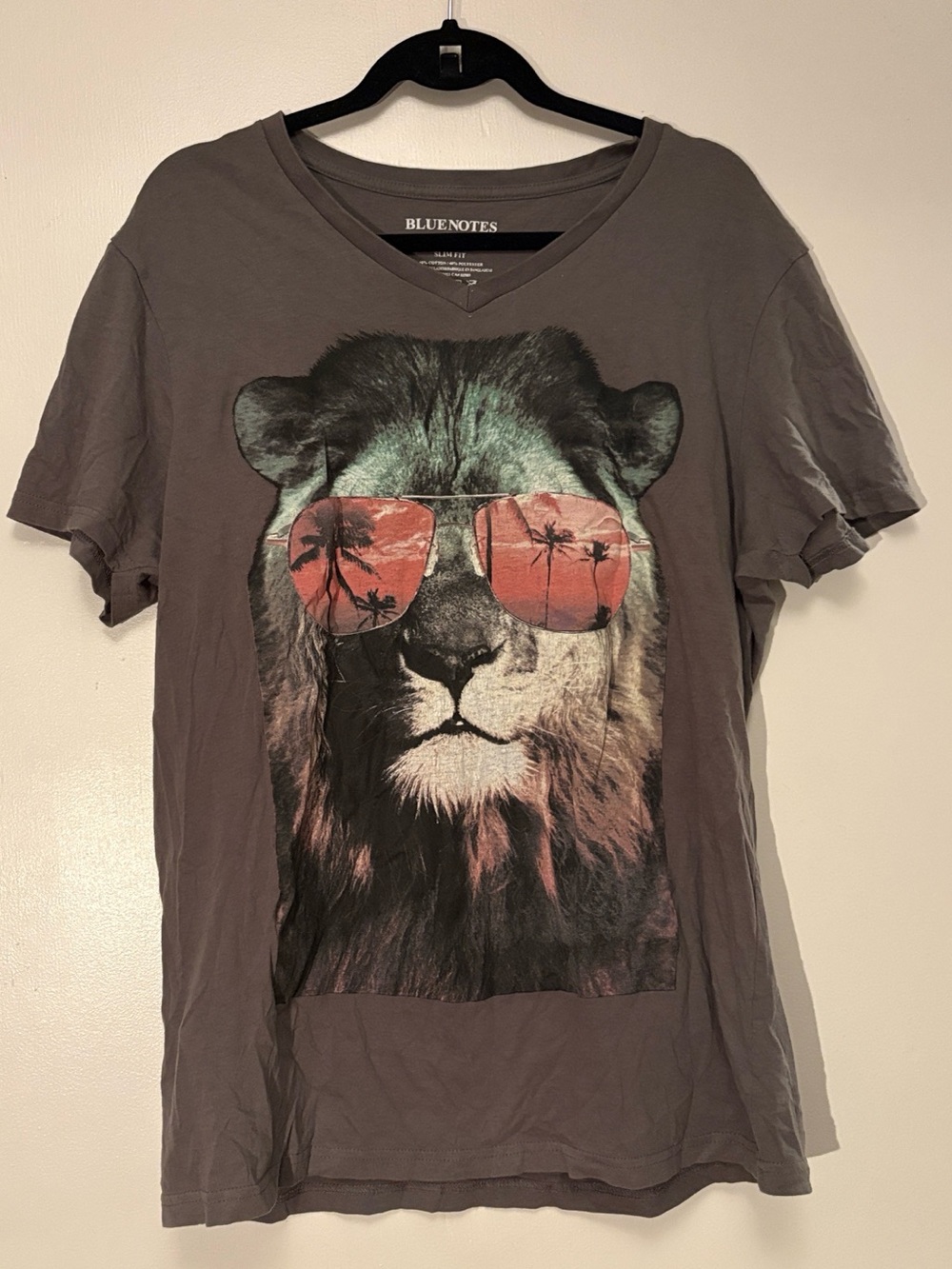 🔥 🦁 Leo season vibes 
 cotton blend v neck t-shirt tee